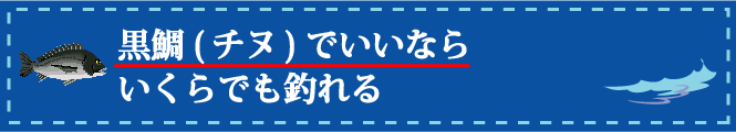 黒鯛(チヌ)でいいならいくらでも釣れる
