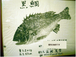 黒鯛　チヌ　年間６００匹　落とし込み＆前打ち　こうすれば釣れます