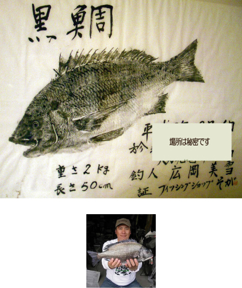 黒鯛　チヌ　年間６００匹　落とし込み＆前打ち　こうすれば釣れます