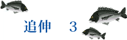 追伸３